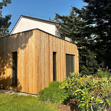 Stenja - Made Of Wood * Drezda