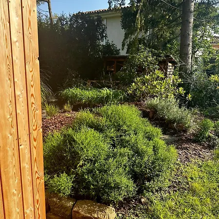 Apartman Stenja - Made Of Wood Drezda