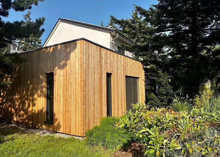 Stenja - Made Of Wood * Dresden